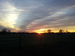 Silver Star Winery of Texas Silver Star Farm and Ranch of Texas