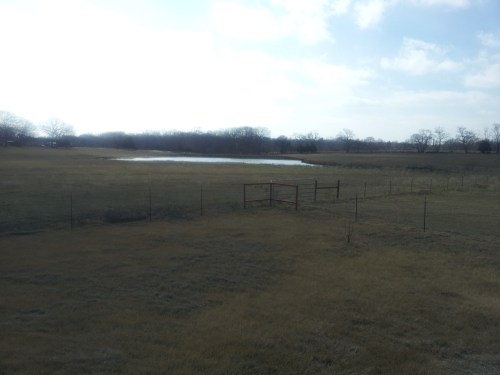 Looking Southwest from our back porch in Eustace, Texas on FM Road 2709.