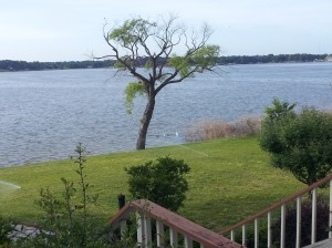 "Another view from porch of our lakehome on Cedar Creek Lake in East Texas" copyright 2014 John J. Rigo