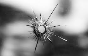 "Cash Reward for information" five pellet shots in windowns of our commercial building for sale in McKinney, Texas copyright 2014 John J. Rigo